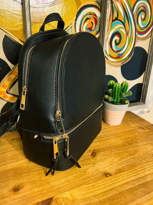 Leather Backpack