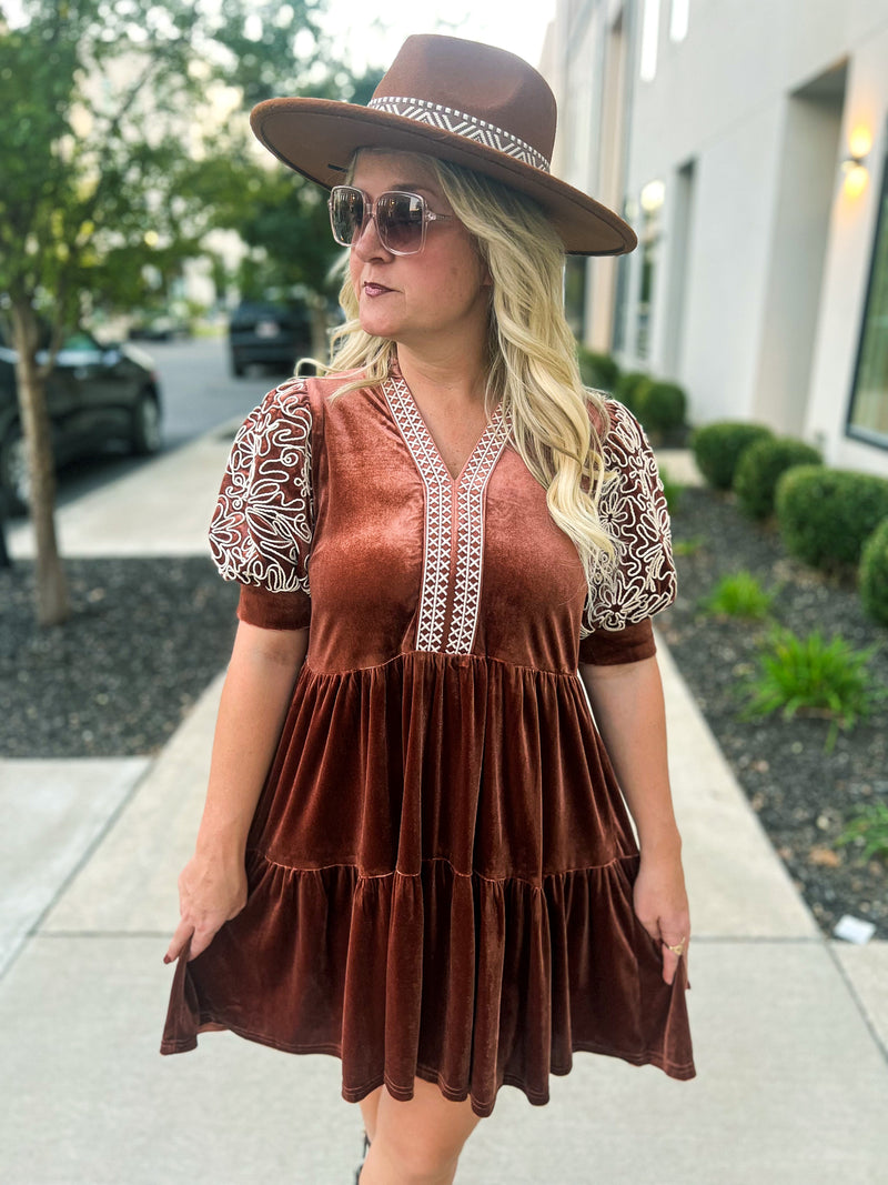 Brown Embroidered Velvet Dress