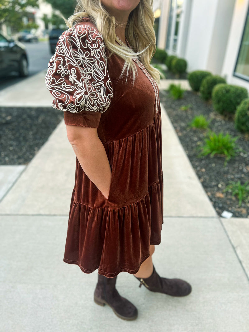 Brown Embroidered Velvet Dress