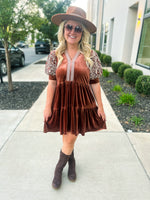 Brown Embroidered Velvet Dress