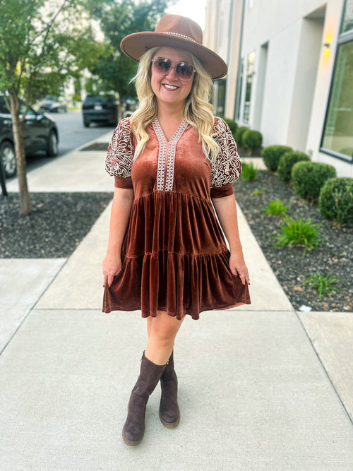 Brown Embroidered Velvet Dress