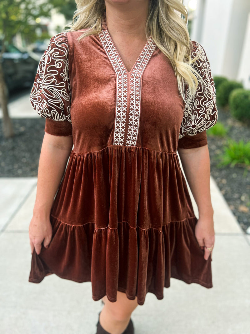 Brown Embroidered Velvet Dress