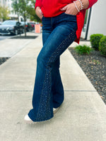 Judy Blue Rhinestone Jeans