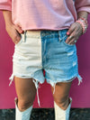 Vervet Colorblock Shorts
